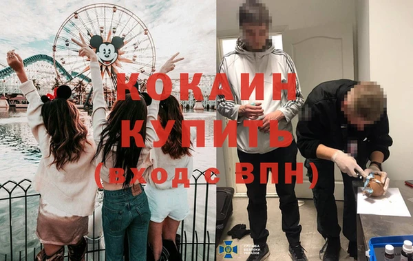 дурь Туринск