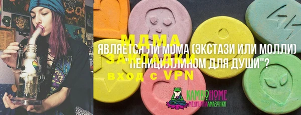 дурь Туринск