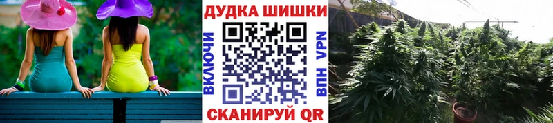 darknet наркотические препараты  купить наркотики цена  Павловская  Марихуана тримм 